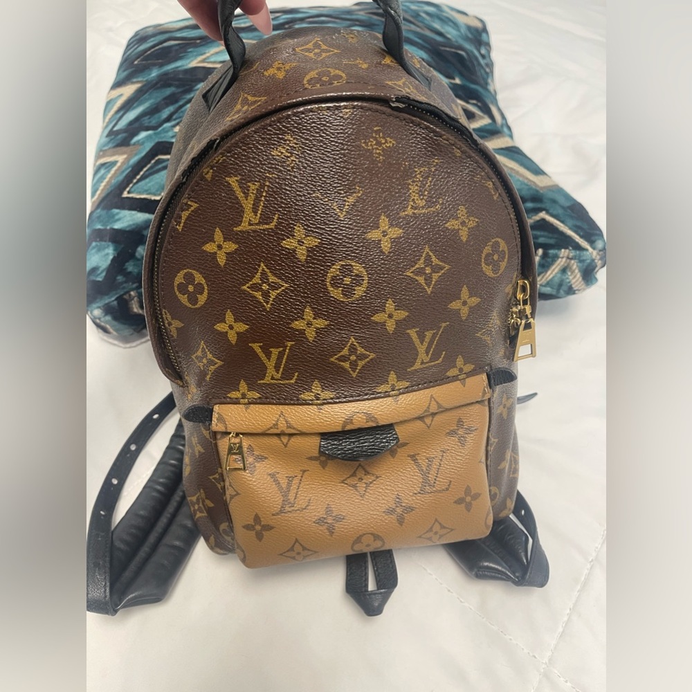 Louis Vuitton Reverse Monogram Palm Springs Backpack MM